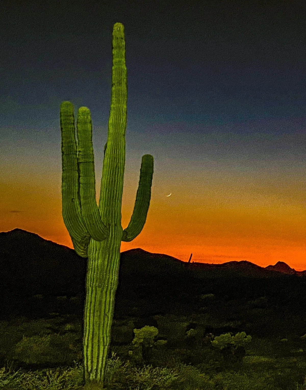 A classic desert sunset shot featuring a tall saguaro cactus silhouetted against warm, fading light, with distant mountains on the horizon. The quiet of dusk in the desert is palpable, inviting reflection and appreciation of nature's beauty.
