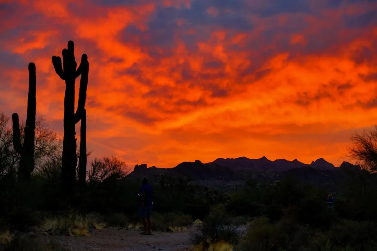 A panoramic outdoor scene featuring silhouetted cacti against a vivid sunset sky, with a sprawling mountain range forming the backdrop. The landscape evokes the rugged beauty of the Sonoran Desert and captures the dramatic light and color changes at dusk.